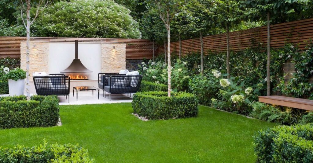 Backyard